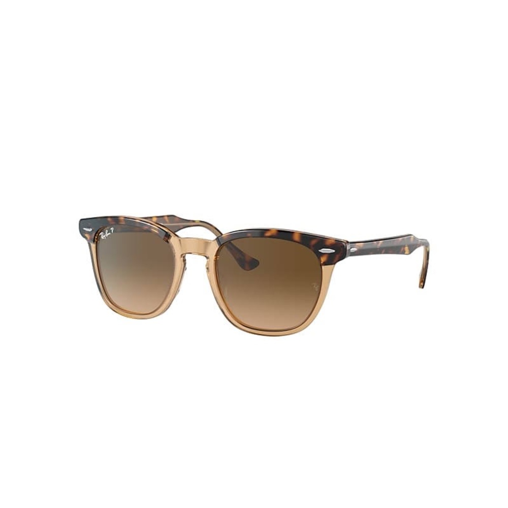 Rayban Hawkeye Brown Polarized Sunglasses